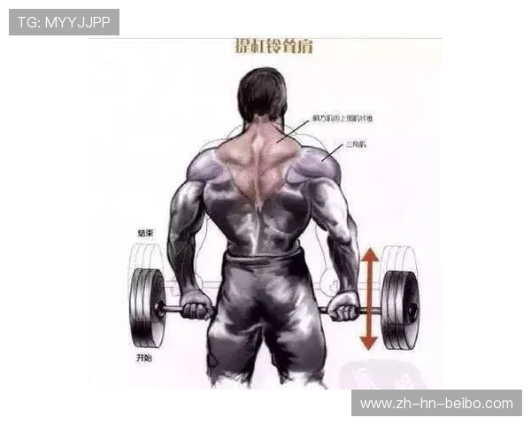 练背的健身器材动作要领：背部训练器材的正确使用技巧解析