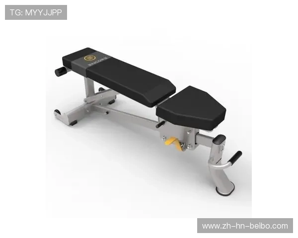 英派斯健身器材全品类一览适合哪些人群使用